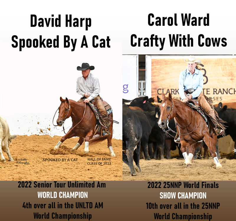 https://carolwardcuttinghorses.com/images/World-champs2022.jpg